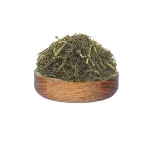 دم اسب